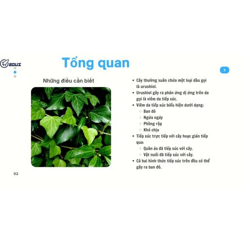 2. Tổng quan